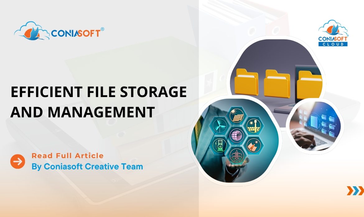 EFFICIENT FILE STORAGE AND MANAGEMENT