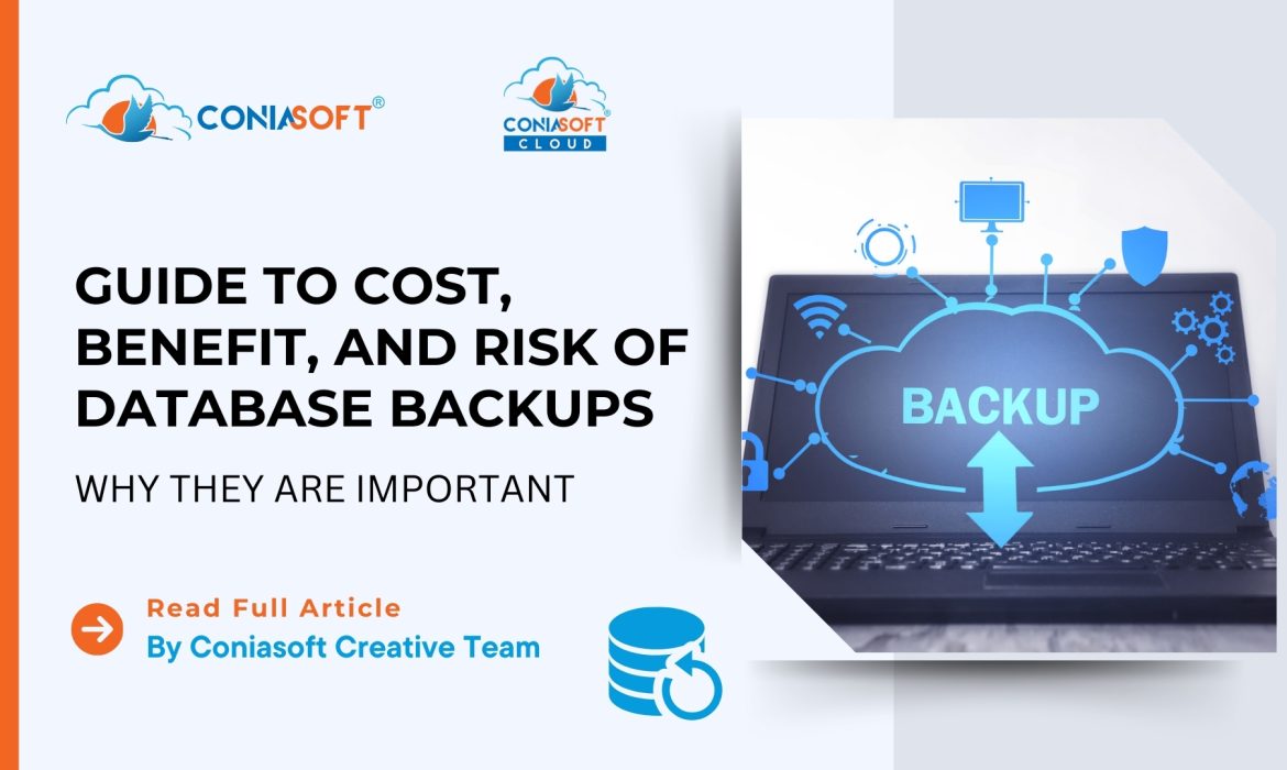 GUIDE TO COST, BENEFIT, AND RISK OF DATABASE BACKUPS – WHY THEY ARE IMPORTANT