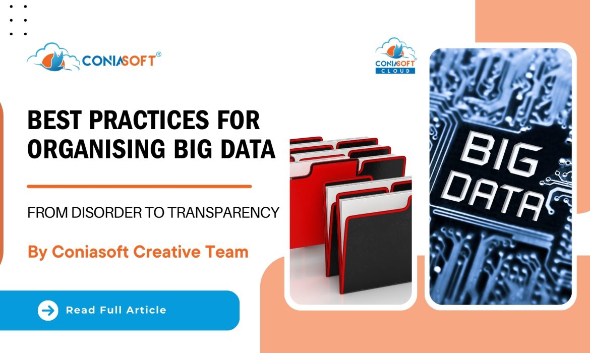 BEST PRACTICES FOR ORGANISING BIG DATA – FROM DISORDER TO TRANSPARENCY