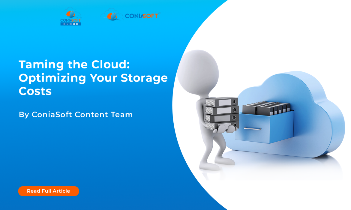 Taming the Cloud: Optimizing Your Storage Costs